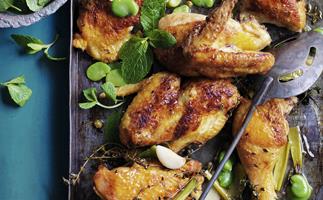 roast chicken with broad beans and lemon