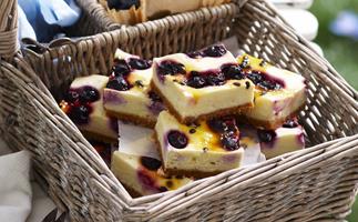 blueberry passionfruit cheesecake squares