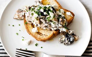 Creamy mushrooms on toasted brioche