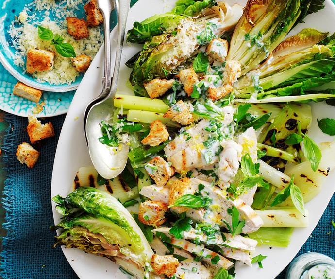 Grilled chicken with warm cos lettuce salad