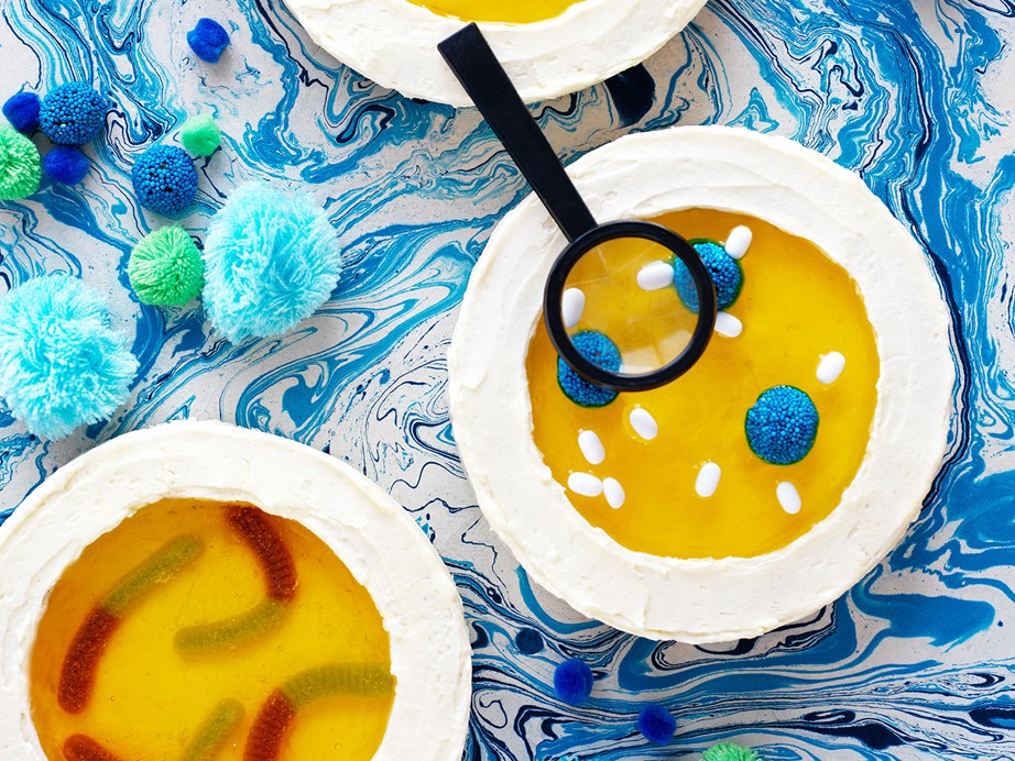 **[Petri dish cake](https://www.womensweeklyfood.com.au/recipes/petri-dish-cake-29523|target="_blank")**
<br><br>
This science experiment themed birthday cake will make all the kids squirm with delight! Great for kid's birthdays or for Halloween parties!