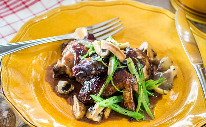 Fricassée of chicken and mushrooms