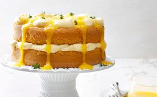 Lemon thyme sponge cake with curd cream