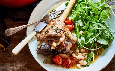 Lamb shanks with white bean and rosemary tomato sauce