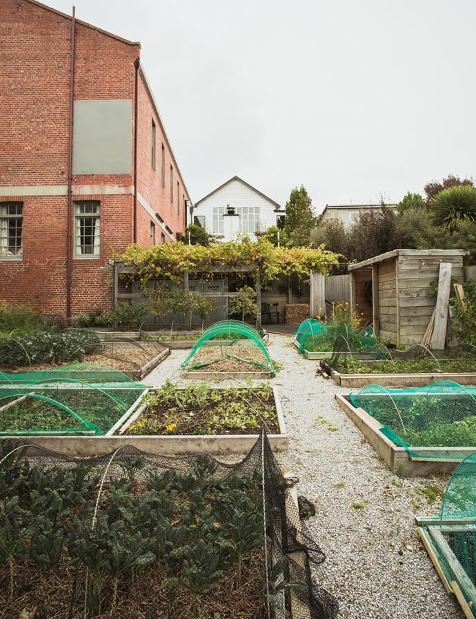 No7 Balmac's garden is integral to its sustainable ethos.