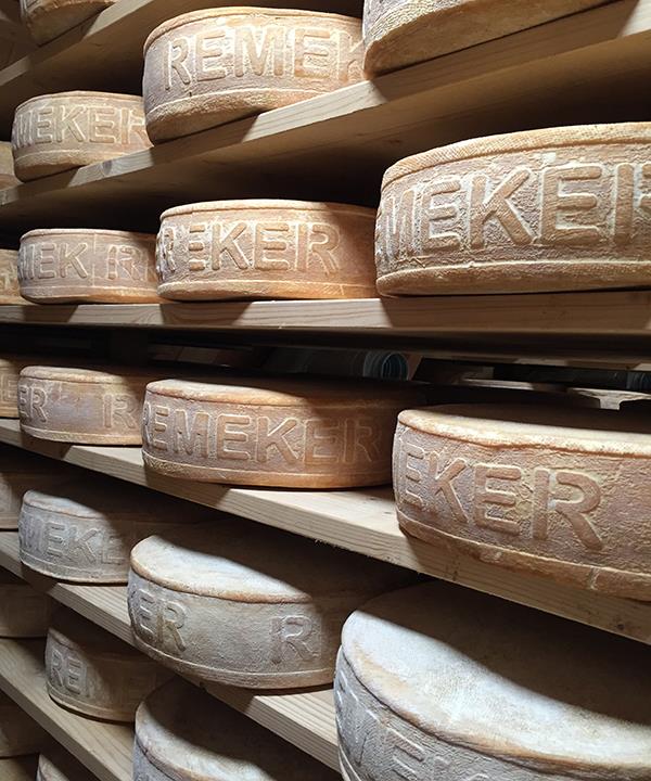 Wheels of Remeker cheese ageing