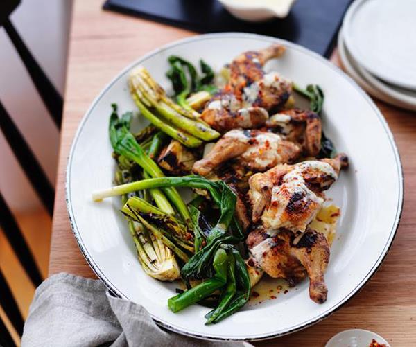 **[Char-grilled spatchcock, celery heart, fennel and spring onions with lemon sauce](https://www.gourmettraveller.com.au/recipes/browse-all/char-grilled-spatchcock-celery-heart-fennel-and-spring-onions-with-lemon-sauce-12873|target="_blank")**<br>
We say it's never too early to fire up the grill. Welcome the return of warmer days with this recipe where both greens and meat hit the hotplate. The bonus? It's ideal for feeding a crowd.