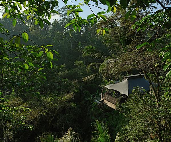 *Capella Ubud's accommodation, set in in the verdant rainforests of Keliki Valley*
