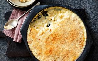 All the mac and cheese recipes you need