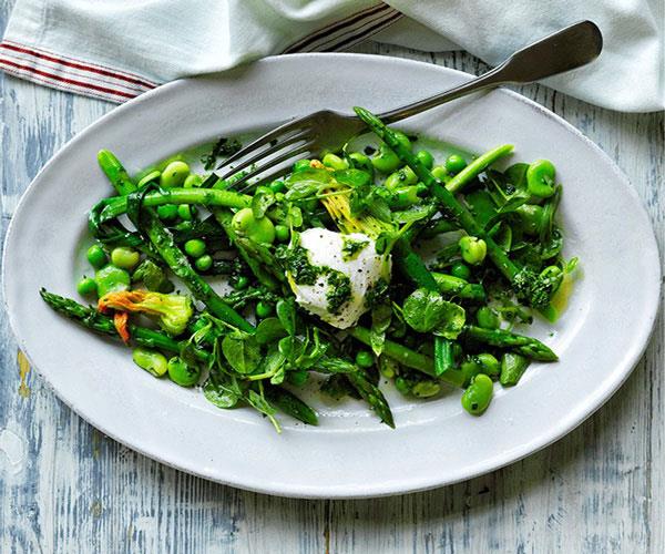 **[Salade printemps with goat's curd and herb vinaigrette](https://www.gourmettraveller.com.au/recipes/browse-all/salade-printemps-with-goats-curd-and-herb-vinaigrette-12618|target="_blank")**
