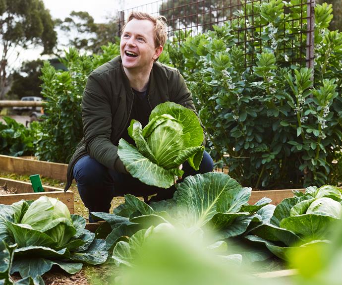 Since landing at Pt Leo Estate in 2017, chef Phil Wood has championed Mornington Peninsula produce.