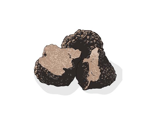 "the best bites I indulged in this year all involved truffle" — Tory Shepherd, South Australia state editor