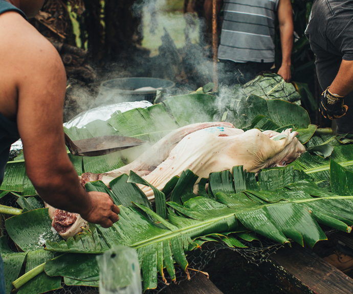Preparing the pig for for earth oven (imu), which will then be carved to serve at Lūʻau feast.