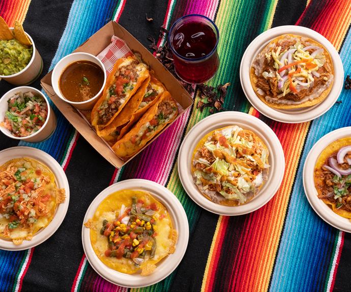 Coyoacán Social Mexican plates, including chicken tinga tostada, cochinita tostada, pico de gallo, horchata, flautas, and gaucamole