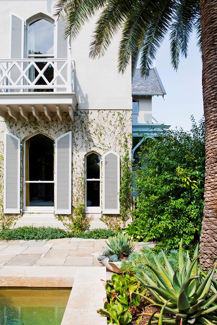 The classic Gothic revival house is accented by the newly transplanted Canary Island date palm. The palm was just one super-advanced plants freighted down from Sydney to provide instant impact and maturity.