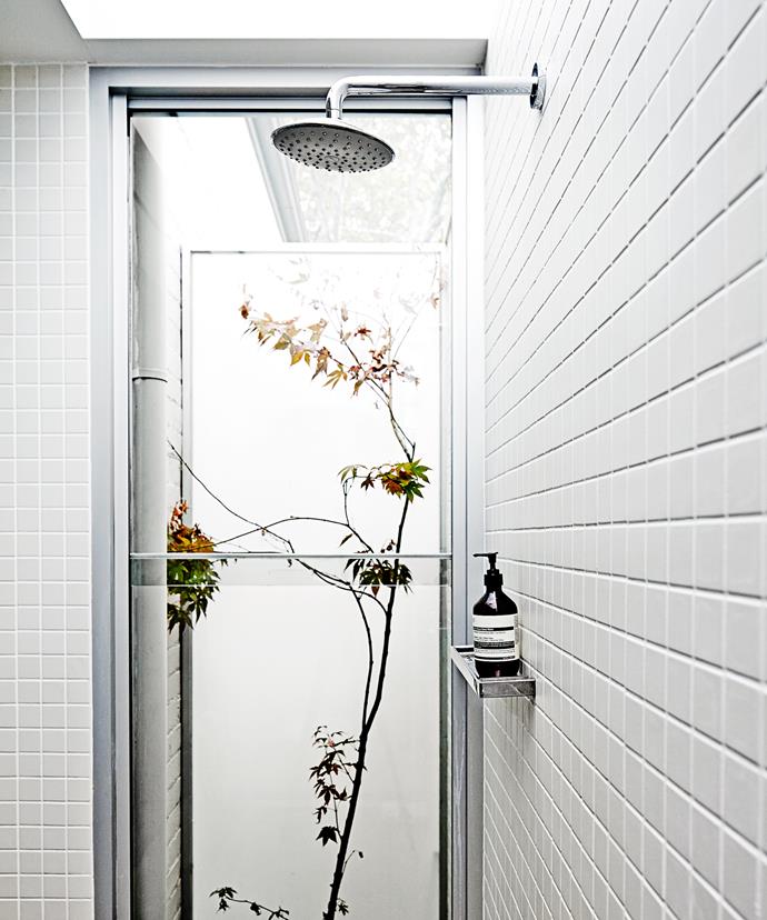 A light well near the master ensuite provides the perfect place to introduce a natural element.
