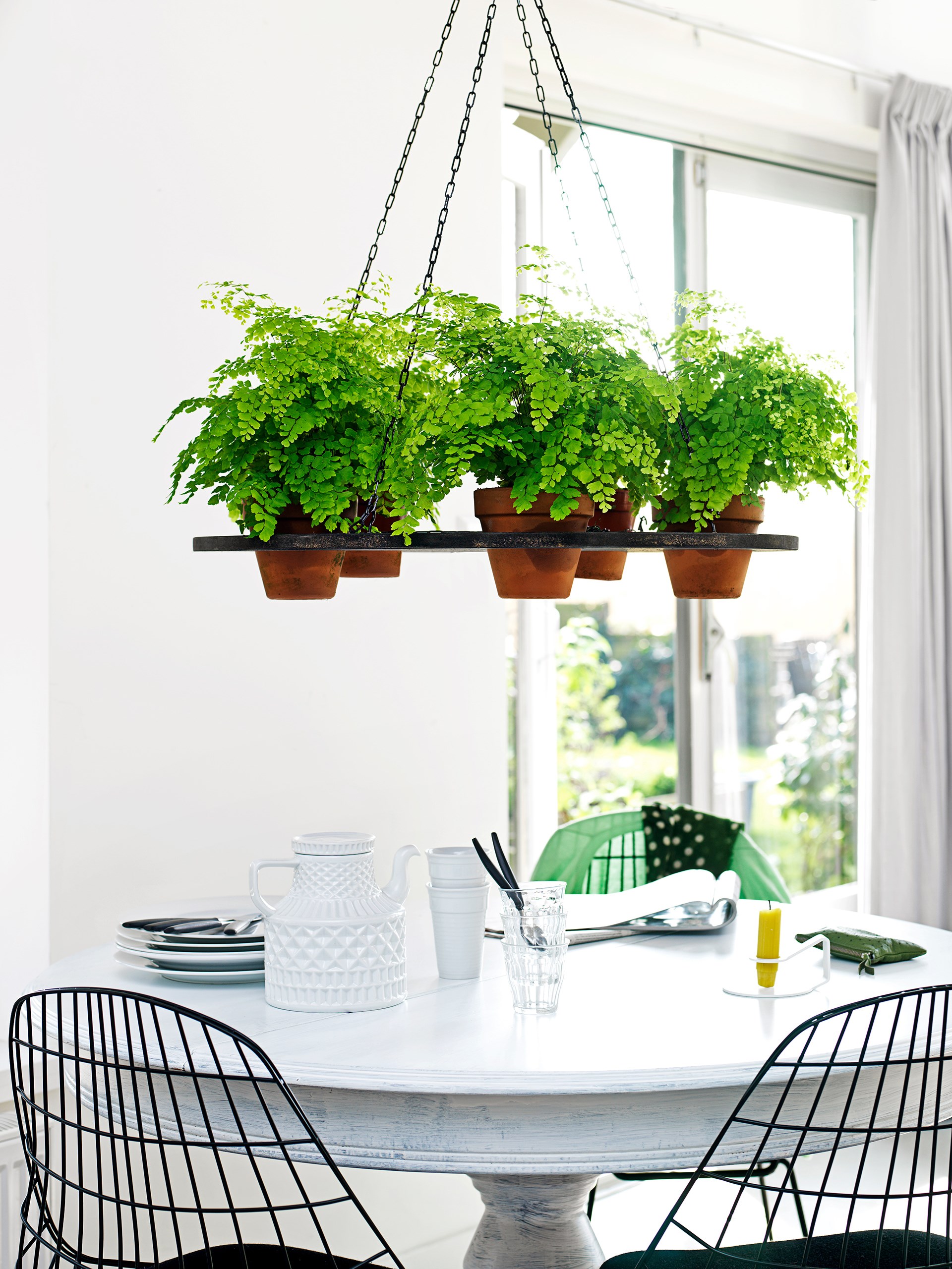 Bring your meeting table to life with some hanging greenery!