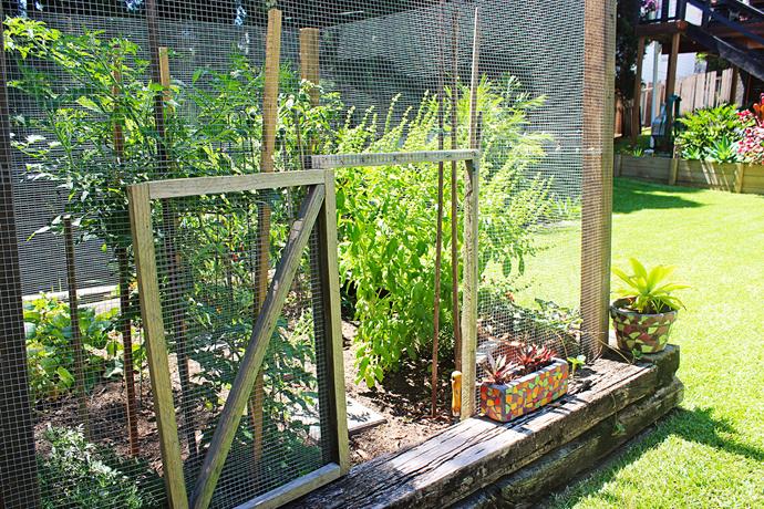 “We enclosed the vegetable patch with wire to stop the possums from eating everything,” Jess says.