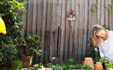 Sustainable gardening tips for summer