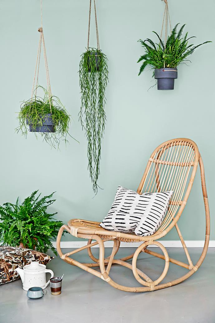 Indoor plants will not only make your house feel tranquil, they purify the air by clearing out toxins and increasing oxygen. Photographer: Christina Kayser Onsgaard