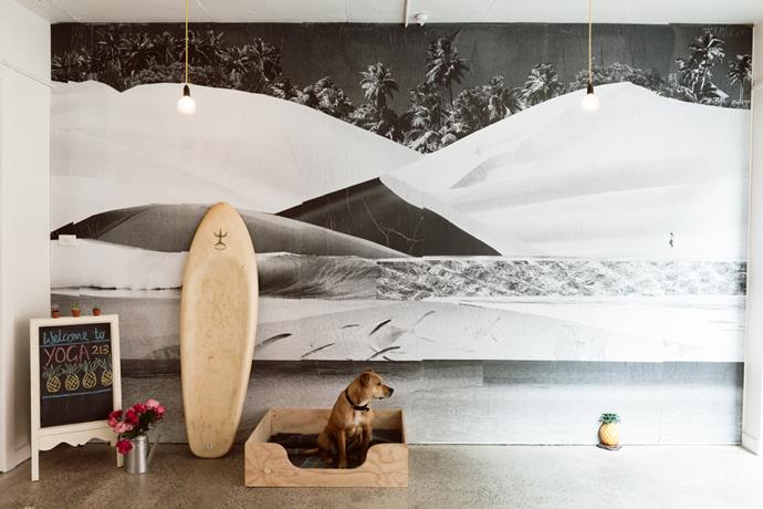 **Yoga 213**
The studio has a welcoming vibe with sand-blistered brick walls offset by recycled timber, surfboards leaning against the walls and fairy lights subtly illuminating the space.