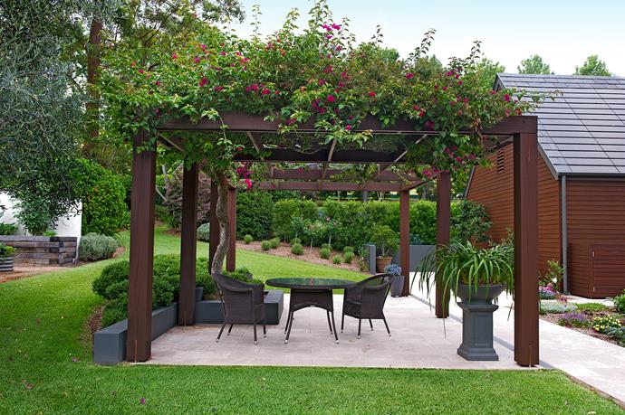 A new timber pergola clothed in a vibrant crimson bougainvillea lies to the east of the home. Not only did the 30-year-old vine get a new support, Sue's desire to hold on to it influenced the design of that part of the house.
