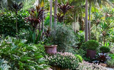 A tropical oasis on the NSW north coast