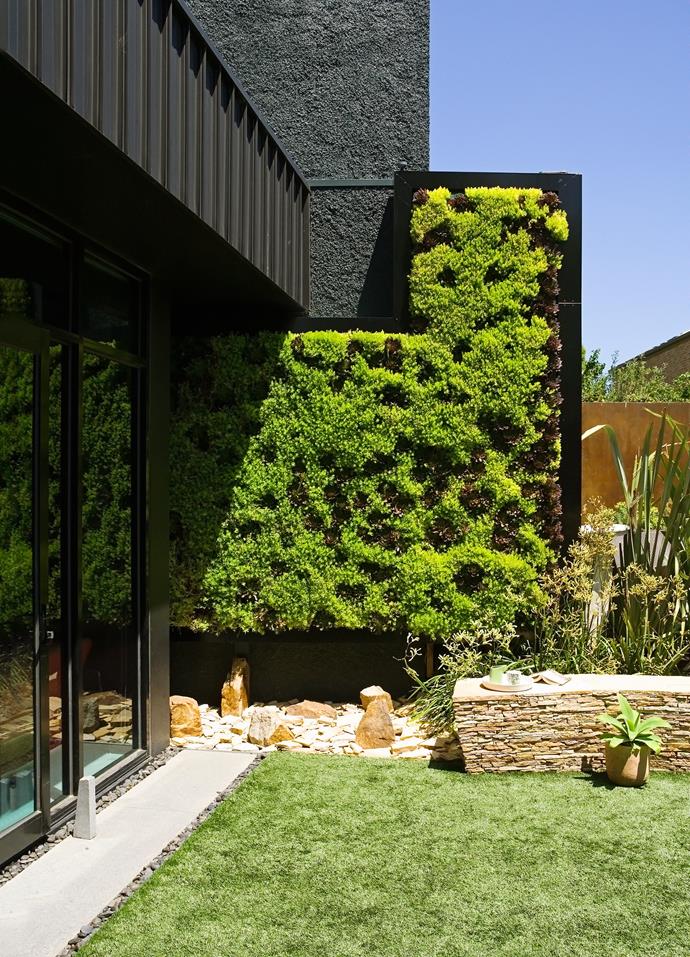 Using plants as screens or living wall features adds texture (touch) and visual interest (sight).