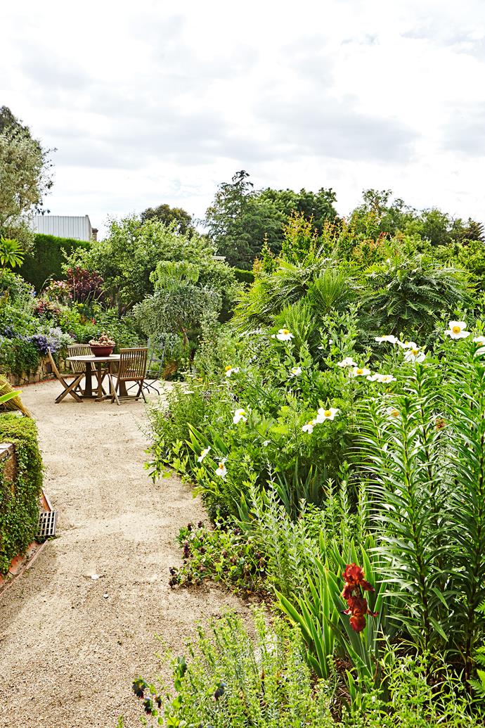 Visiting Kate Herd's garden is like stepping into a little bit of paradise. Full of unusual and incredibly beautiful plants, it's been arranged in a way so that every tree, hedge and plant is shown off to its best advantage.