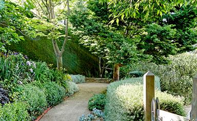 Cottage style garden with an Aussie twist