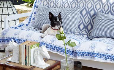 6 creative ways to make your home more pet-friendly
