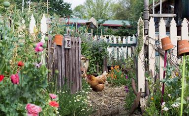 7 ways to repurpose household items in your garden
