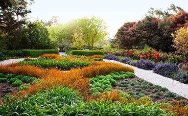 20 of the best gardens from Australian House & Garden