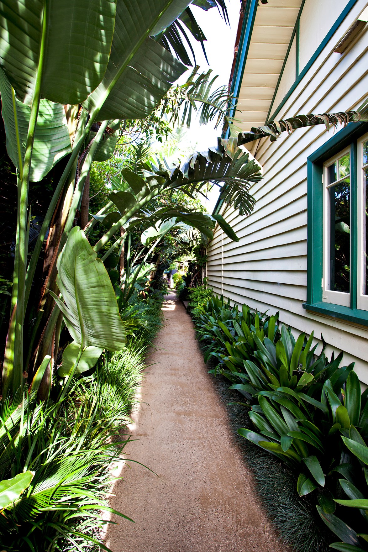 <p>**SIDE GARDEN**<p>
<P>So you're all business in the front and party in the back … but what about your side garden? Even if the sides of your home are shrouded in shade, it doesn't mean you can't liven things up with a little lovely leafiness. In smaller spaces, consider going vertical. In wider walkways, start with a few good structural shade loving plants (agave or agapanthus are a good choice here), some stepping stones and a [fast-growing groundcover](https://www.homestolove.com.au/a-guide-to-groundcovers-3632|target="_blank"). Here are [6 stunning side garden ideas](https://www.homestolove.com.au/side-garden-ideas-6803|target="_blank") to inspire.<p>
<p>*Photo: Claire Takacs / Story: Australian House & Garden*<P>