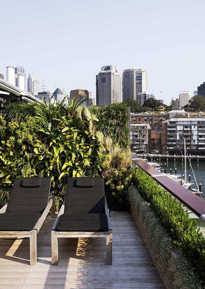 “Small spaces can be very exciting if designed correctly. Built-in storage, lighting, multipurpose areas and making use of the borrowed landscape are important. [Vertical surfaces](http://www.homestolove.com.au/your-guide-to-vertical-gardens-3021|target="_blank") should be utilised as much as possible.” – Ruth Czermak, [Botanical Traditions](http://www.botanicaltraditions.com.au/?utm_campaign=supplier/|target="_blank")
Photo: Prue Ruscoe / bauersyndication.com.au