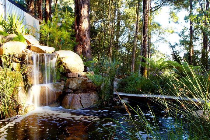 Water capture and conservation is what Olinda does best. Photo: Phillip Johnson Landscapes