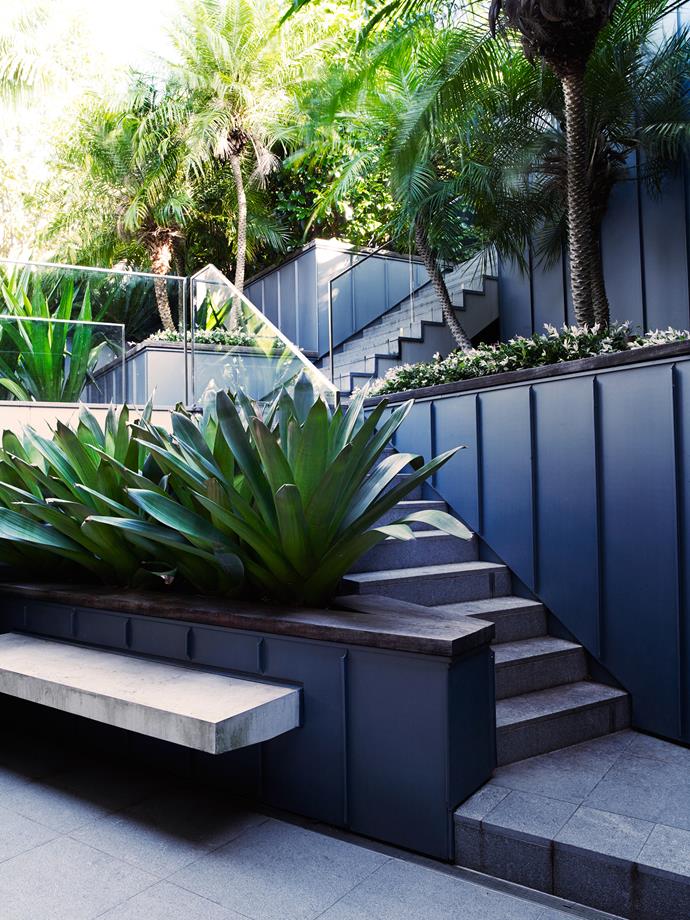 Lush, shade-tolerant tropical planting such as bromeliads, dwarf date palms (*Phoenix roebelenii*), and variegated star jasmine (*Trachelospermum jasminoides* 'Tri-Colour') were used, providing a sense of softness against the strong and minimal lines of the walls and stairs.