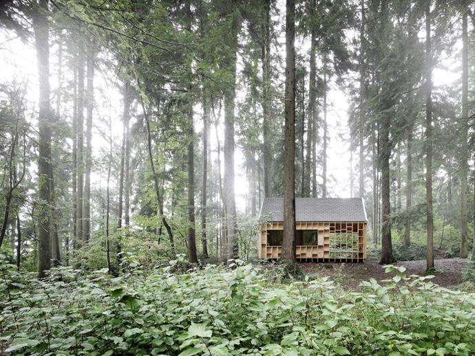 Austrian architect [Bernd Riegger](http://www.berndriegger.com/|target="_blank") created this cabin for a children’s charity that offers outdoor education programmes. *Photo: Adolf Bereuter*