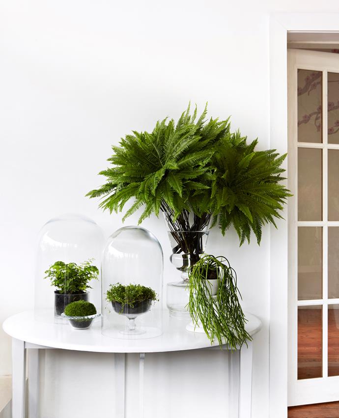 "Embrace the simplicity of living greenery in glass vessels to make fresh, dynamic statements in key areas of the home year-round," says florist [Fleur McHarg](http://www.fleurs.com.au/?utm_campaign=supplier/|target="_blank").