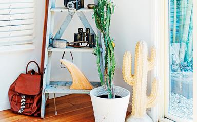 Top 10: the best indoor plants for Aussie homes