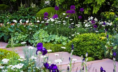 What to do in the garden this spring