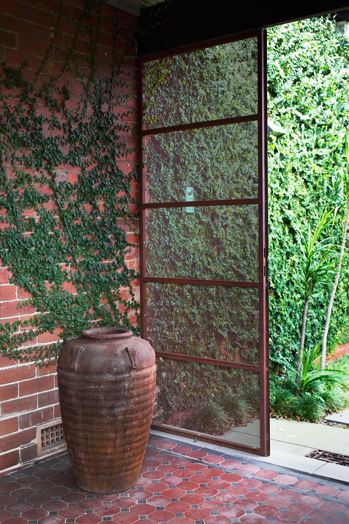 A climbing fig, Ficus pumila, carpets the brick wall at the entrance and appears to emerge from a weathered pot.
