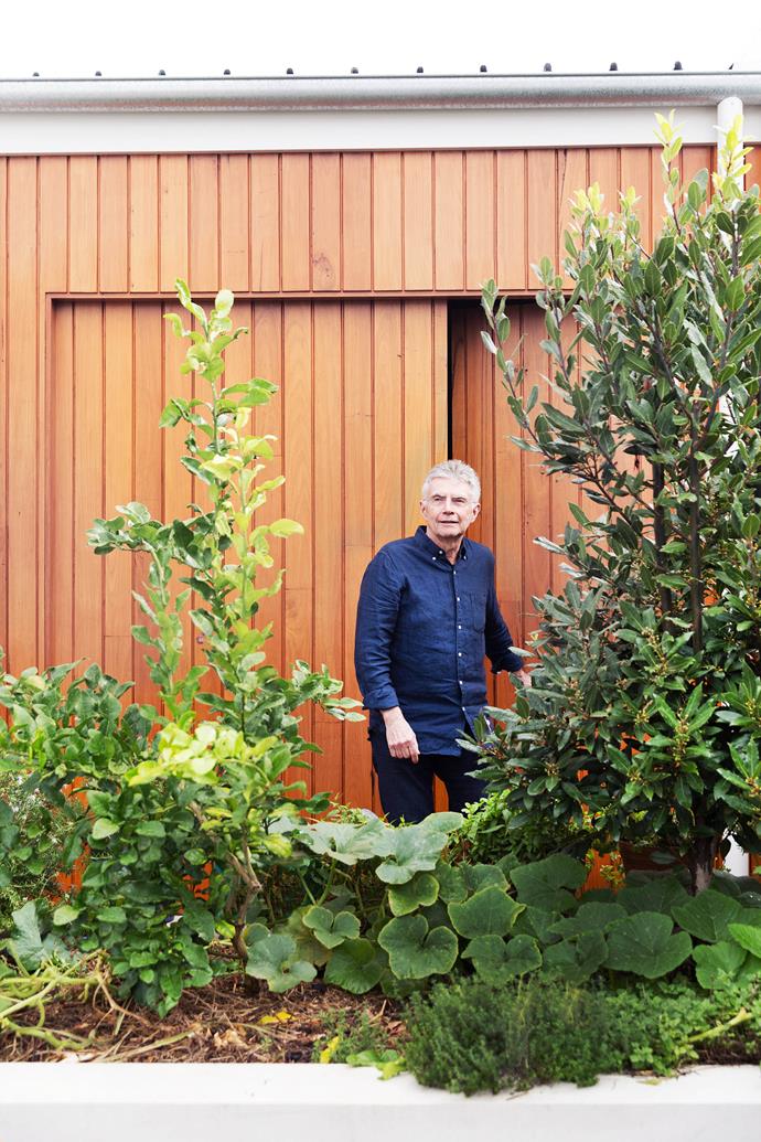 “We use something picked from the garden in just about every meal,” says John, surveying the raised beds on the northern side of the house. The garage behind him is clad in shiplapped silvertop ash.