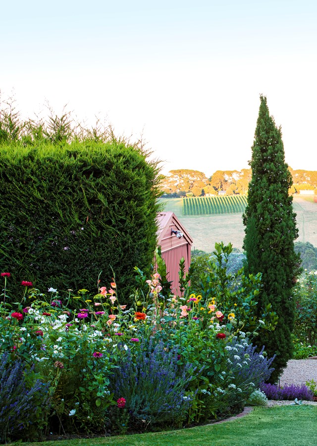 One of the key elements of a cottage garden is an abundance of flowering shrubs, planted closely together. The owners of this formal cottage garden were inspired by a sculpture garden they visited on a trip to Italy.