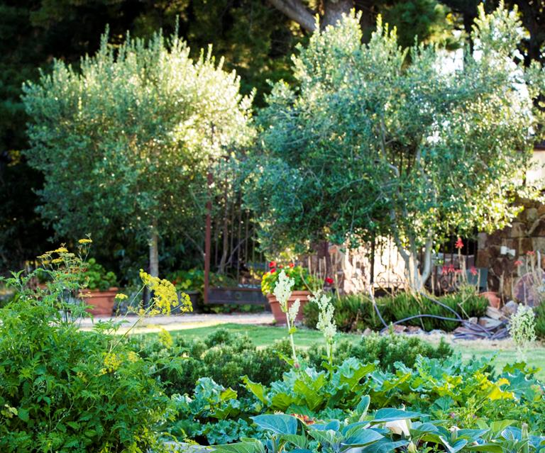 A Formal Cottage Garden Inspired By A Trip To Italy Australian