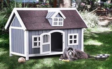The best pet houses on Instagram