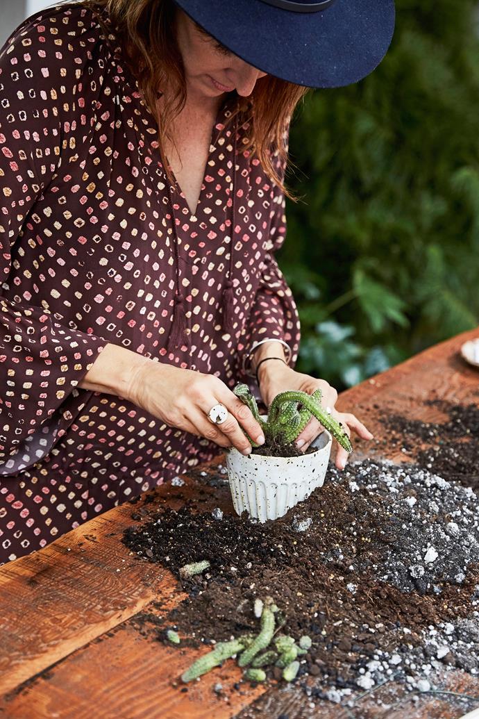 "Everyone can be an amazing gardener. You just need to make sure you're getting plants from places that will teach you how to care for them. And always view them as a living, breathing thing."