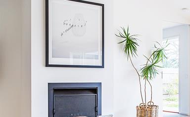 The perfect indoor plants for minimalist homes