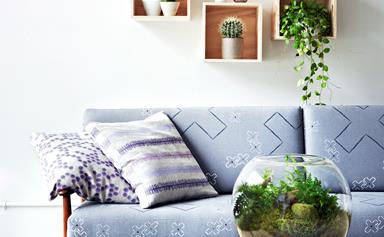 The best paint colours to complement indoor plants