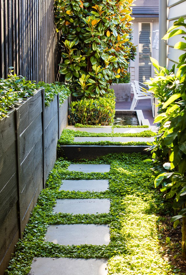 Layered plantings and people-friendly paths create a layout to meet, greet and delight all who enter.